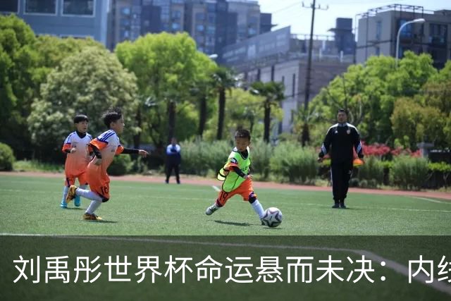 刘禹彤世界杯命运悬而未决：内线竞争白热化，功能互补成关键